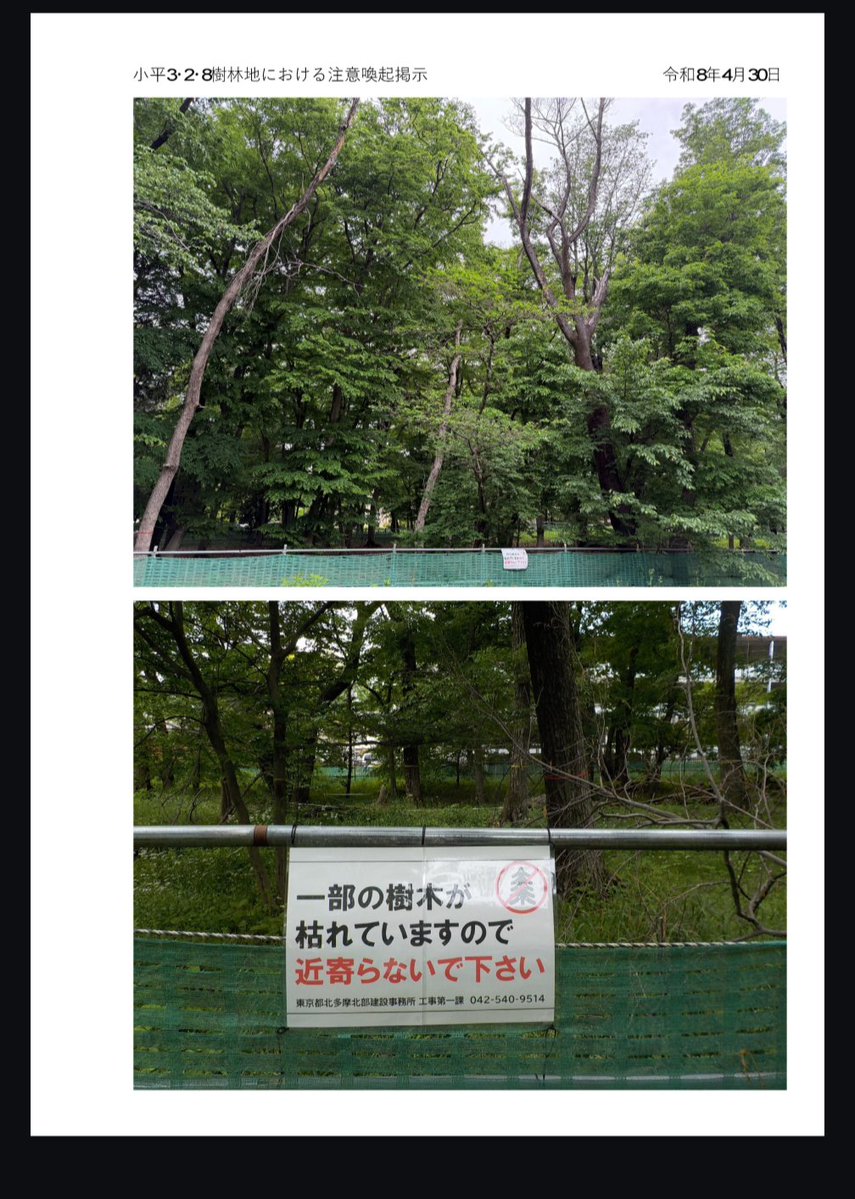 竹井ようこ 東京都議会議員(小平市) tweet media