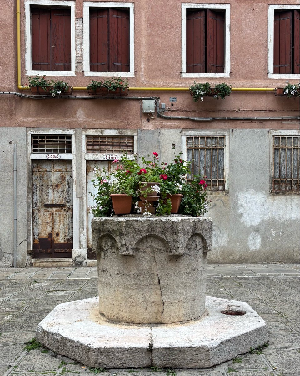 IntrecciVE's tweet image. Vera da pozzo primaverile #venezia #venice #veneziagram #igersvenezia #veneziadavivere #venise #tourguide #travel #travelgram #guidetouristique
