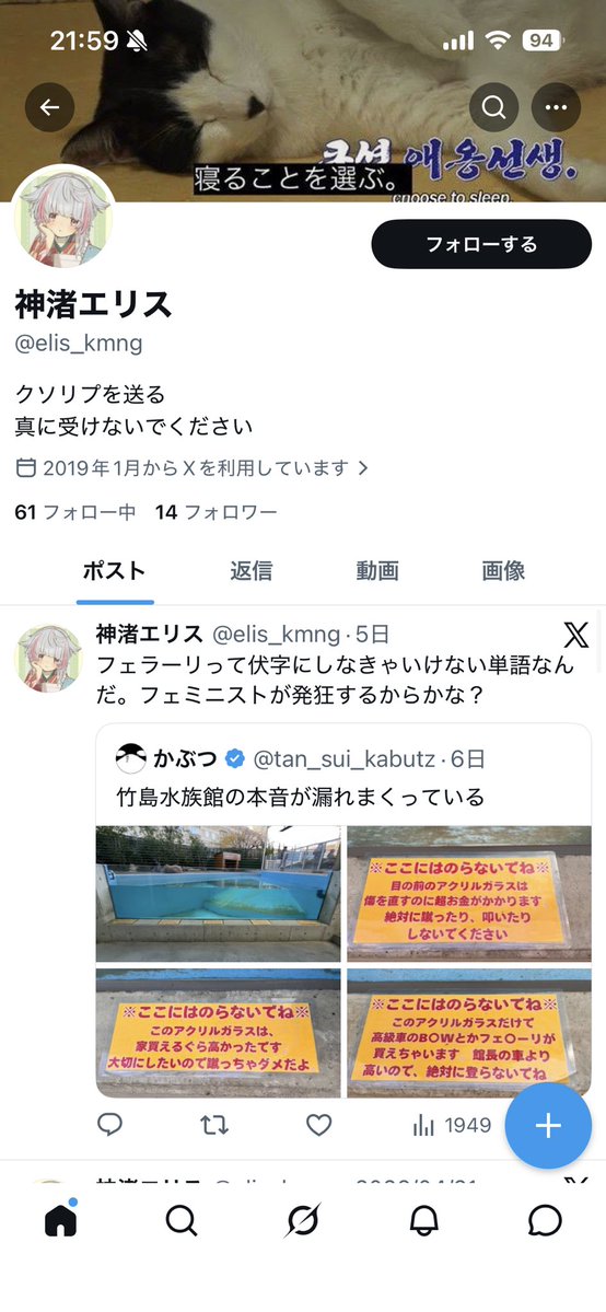 ねこくん tweet media