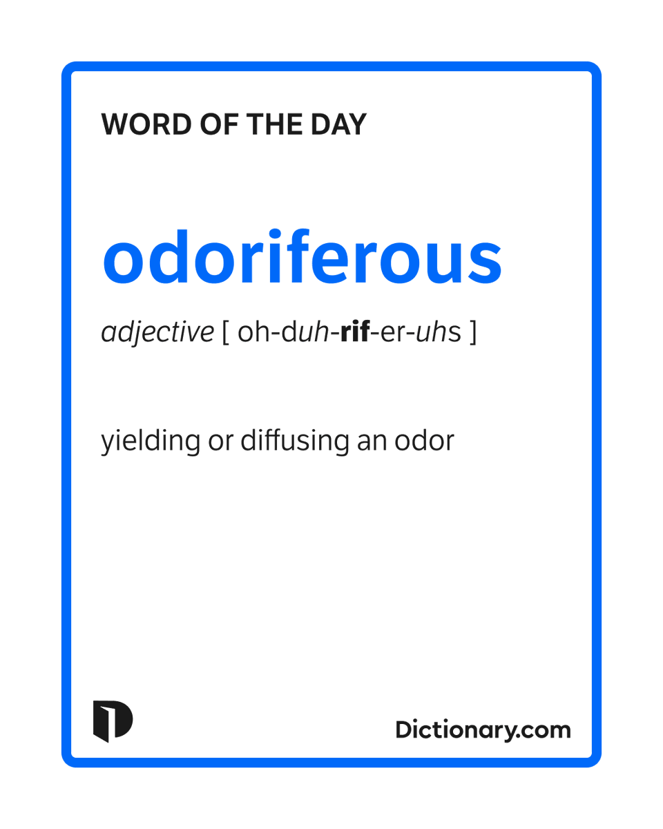 Dictionary.com tweet media