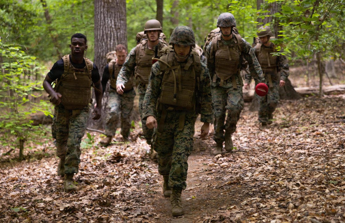 U.S. Marines tweet media