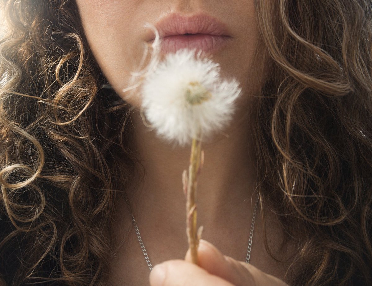 Astra_fairy's tweet photo. If loving you is sin, let hell be mine
Out with the dark like a holy sign
#dandelion #makeawish #moodytones #darkaesthetic #softdark #cinematicmood #fragilebeauty #quietmoments #aestheticvibes #closeupshot https://t.co/4T8WaxMs4e