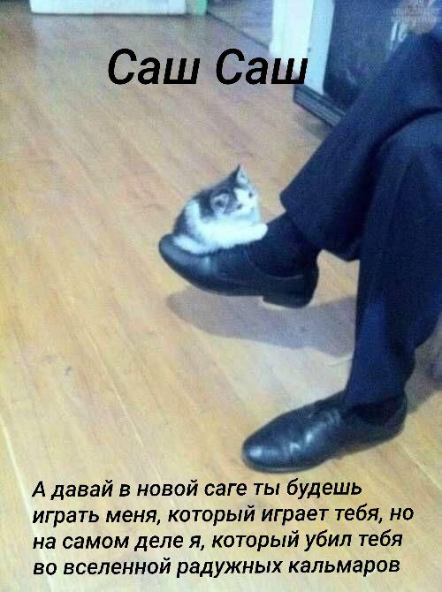 Max tweet media