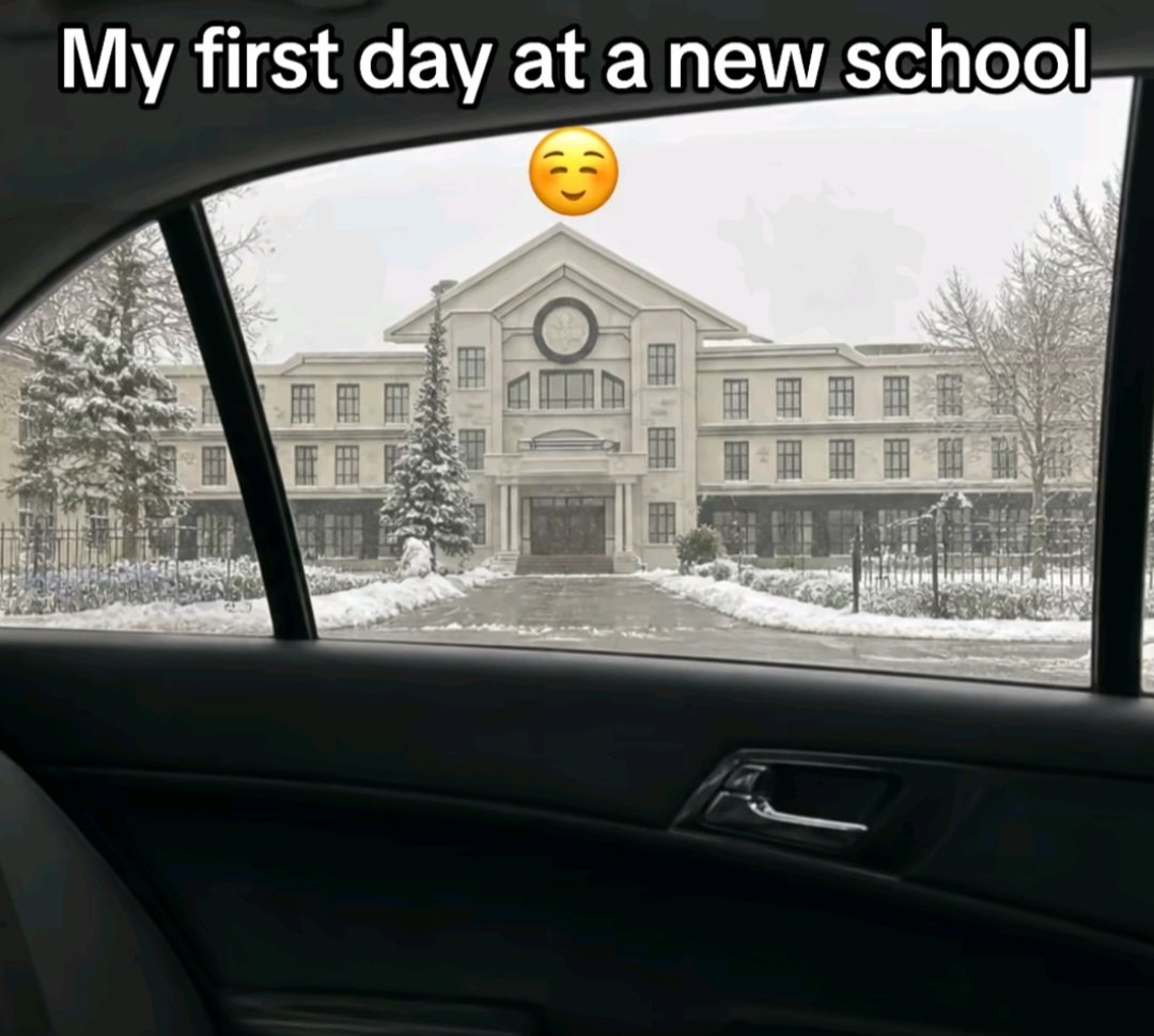 ✨️˙✩˚•Eliz•˚✩˙ 🎨 tweet media