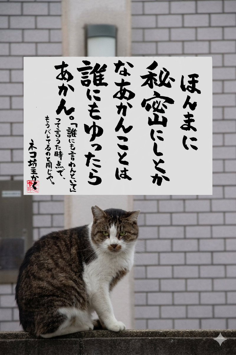 専念寺/ネコ坊主 tweet media