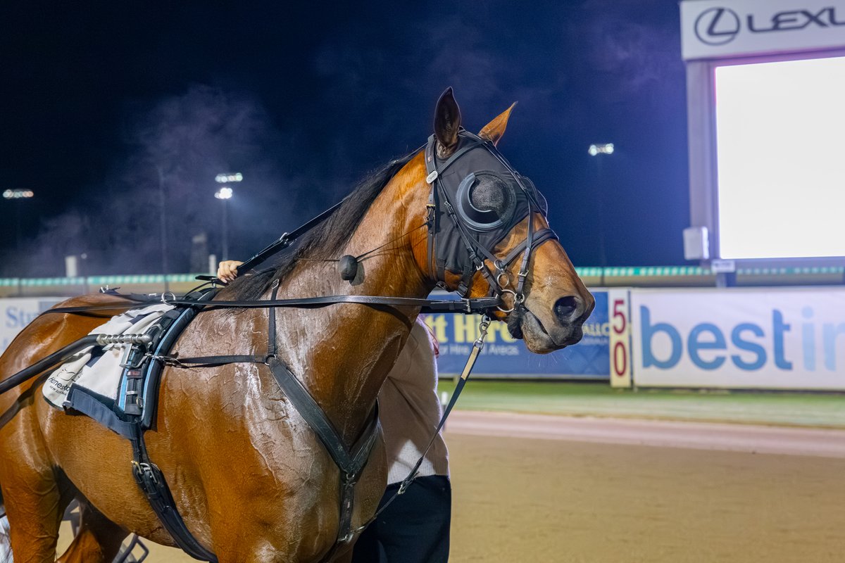 Club Menangle tweet media