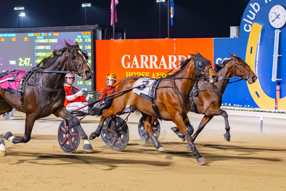 Club Menangle tweet media