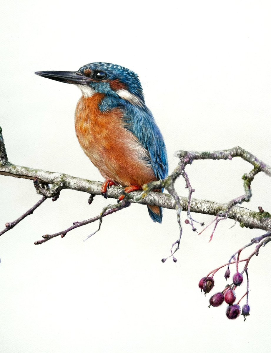 Anna Hamilton Art tweet media