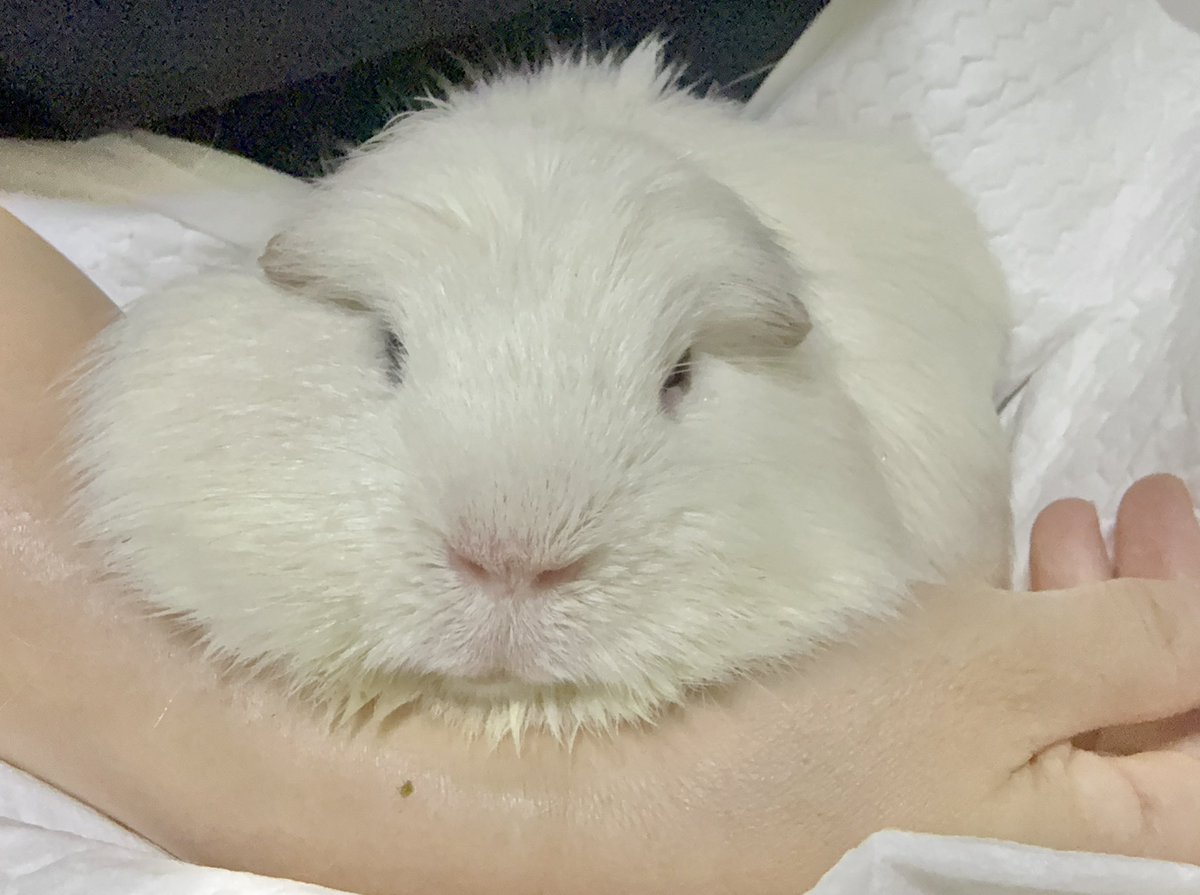 핑크똥 tweet media