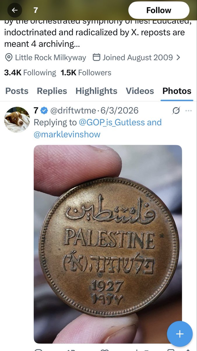 Mary 🇮🇷 tweet media
