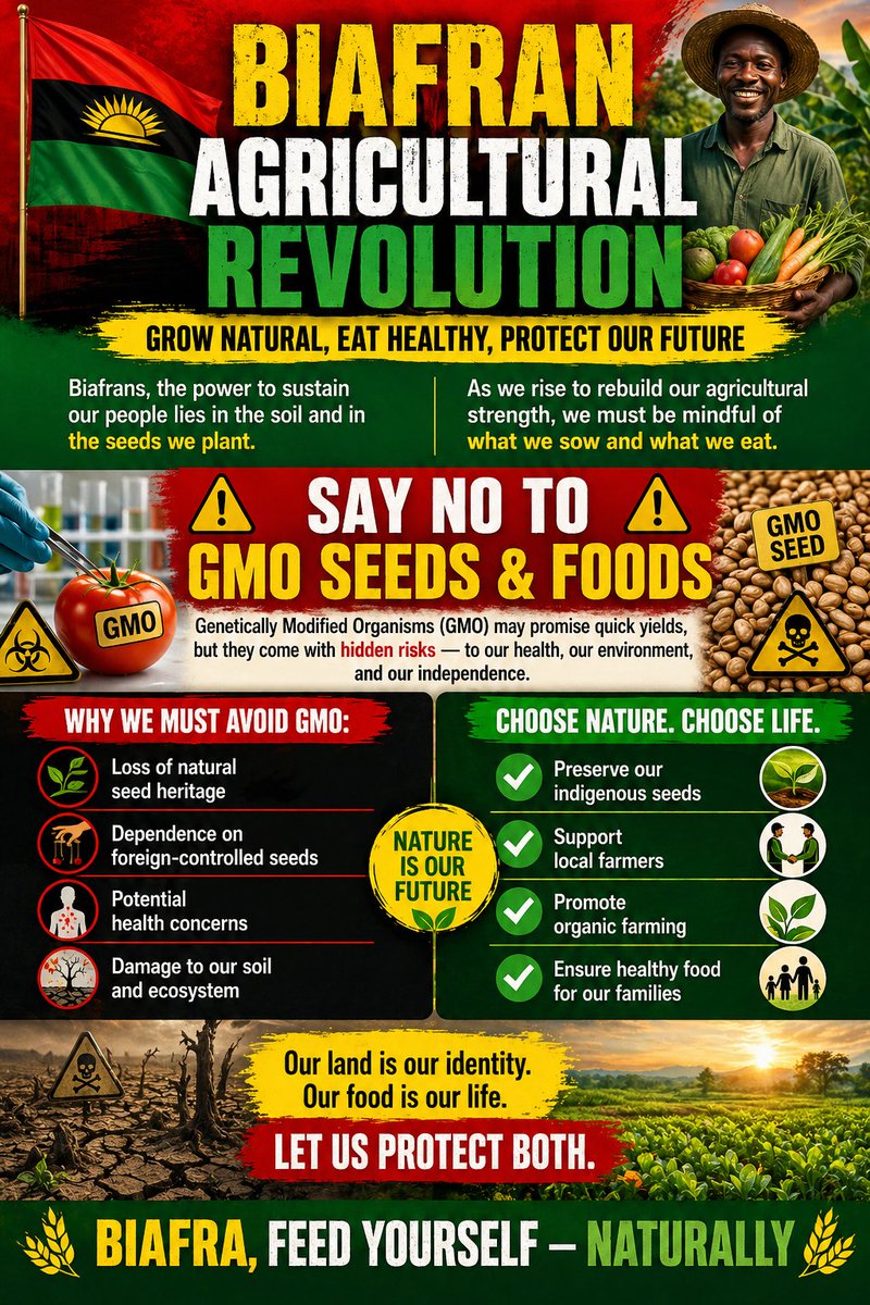 IPOB GHANA OFFICIAL PAGE💪🐉 tweet media