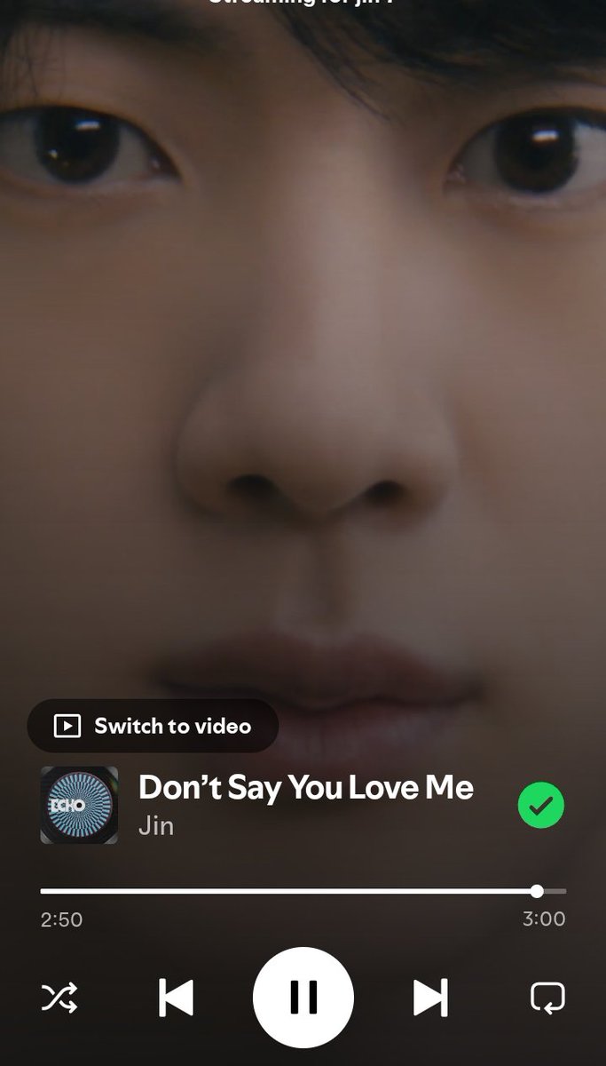 LiveDream17's tweet image. Don't Say You Love Me 
#JIN #BTSJIN #진 #방탄소년단진