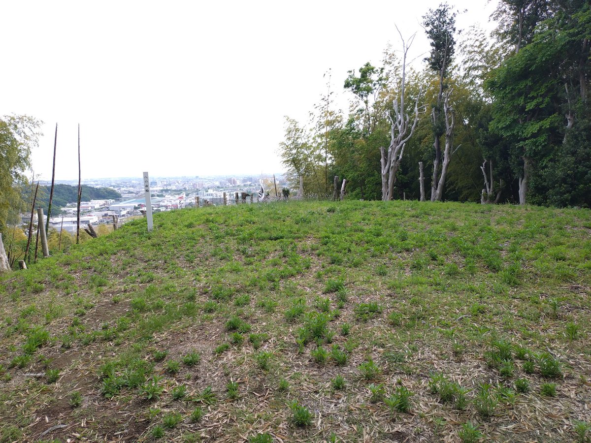 sleeping7cat1's tweet photo. 花沢城跡（静岡県焼津市）
足場やロープが完備され、不自由なく散策できました。
整備してる方々に感謝です。
三の曲輪、堀切、八の曲輪 https://t.co/eAGct2s7Y0