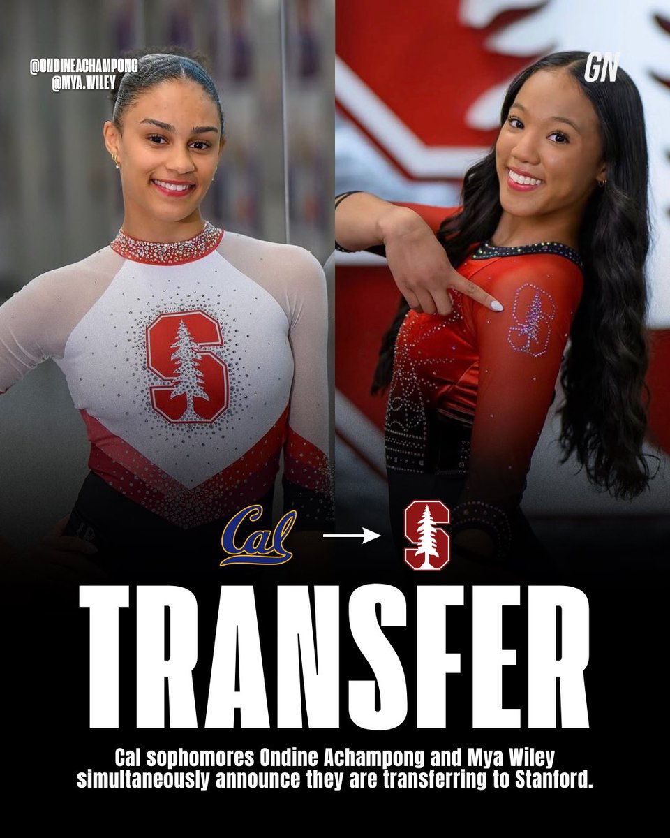 Gymnastics Now tweet media