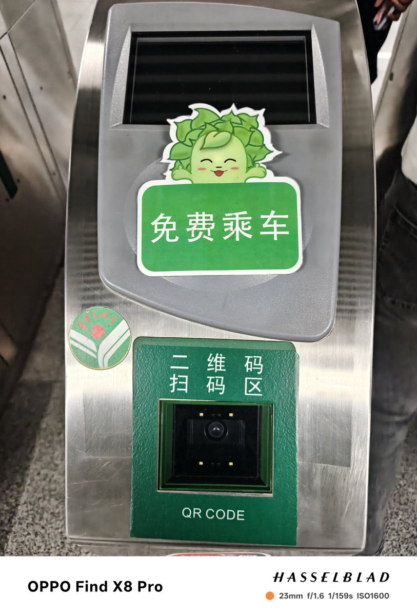 白茶 tweet media