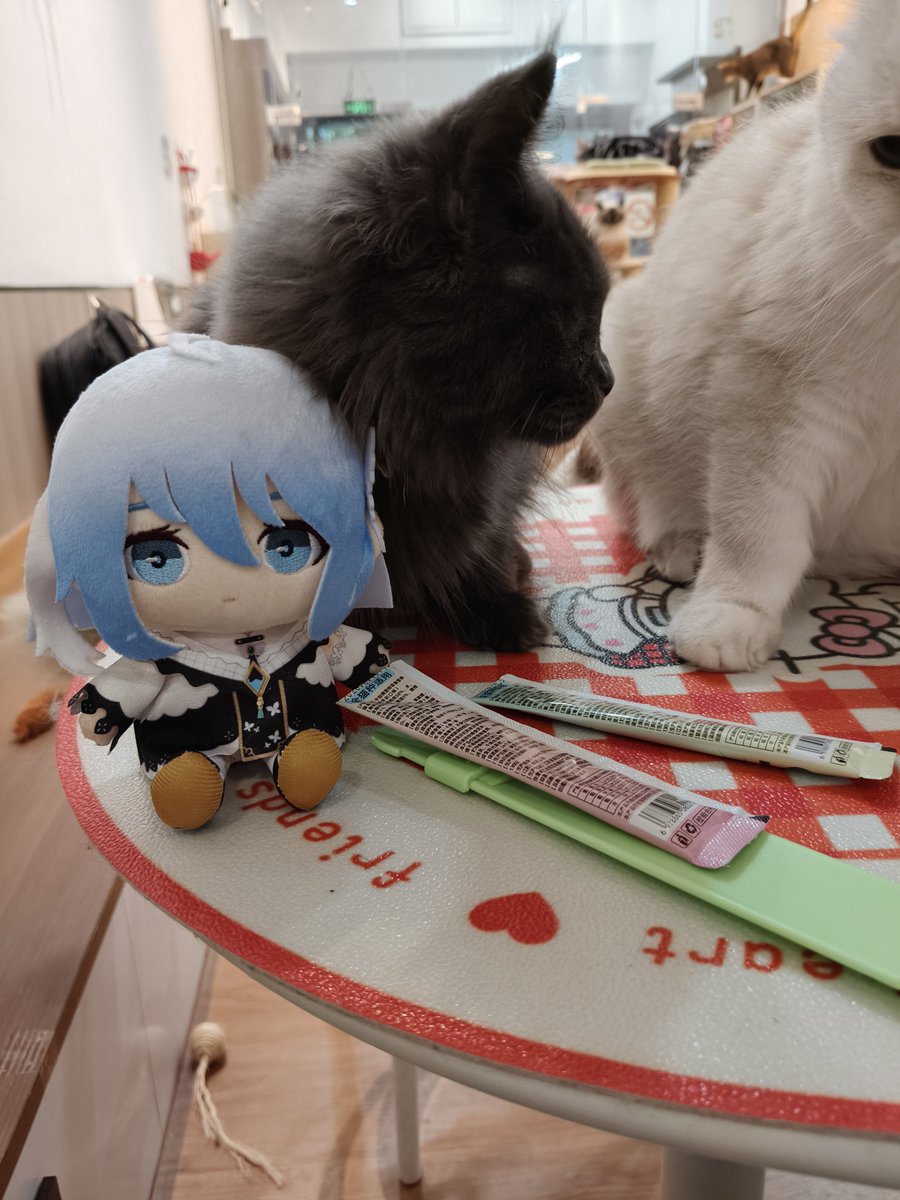 🦋❗️❓
🐈：❗️
#しえるれたー