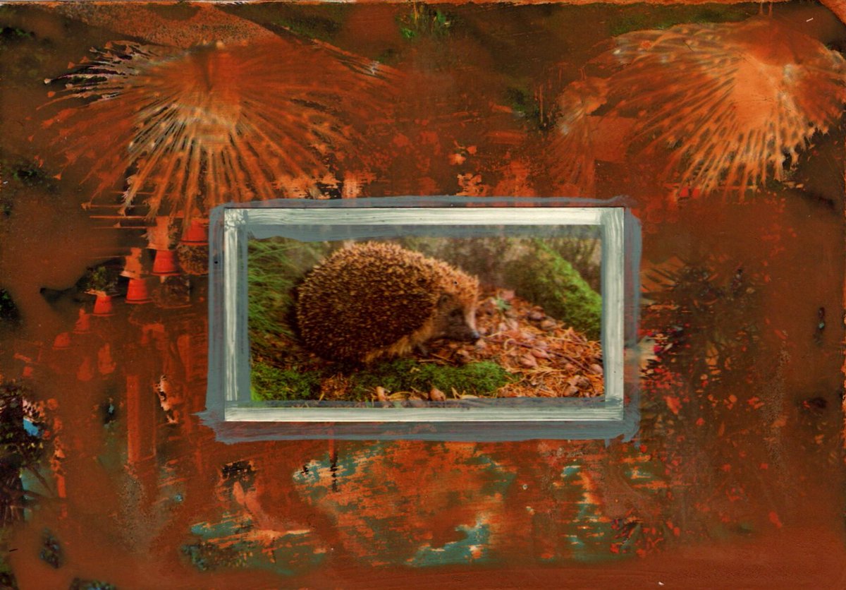 ferrispictures's tweet image. Put The Proclaimers on for a bit of peace and quiet. 1987. Is that when it all started to go wrong? No, it was way before that. My parents were peripatetic until I was 11. #theferrisfiles #collage #frustration #metaphorsaplenty