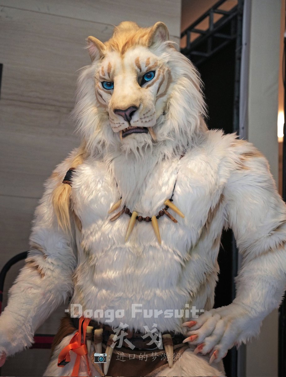 Furward 5.2