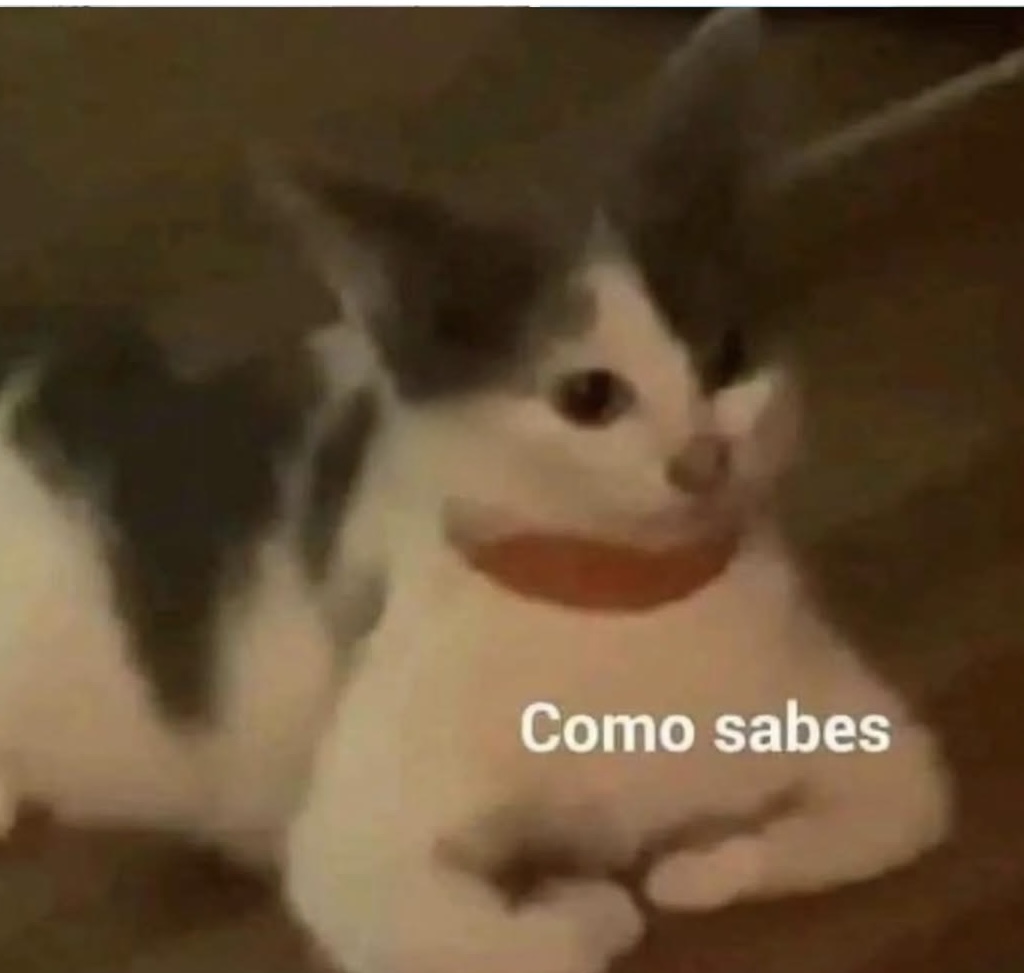 Mundo de Bigotes tweet media