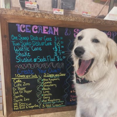 Anna The Pyrenees tweet media