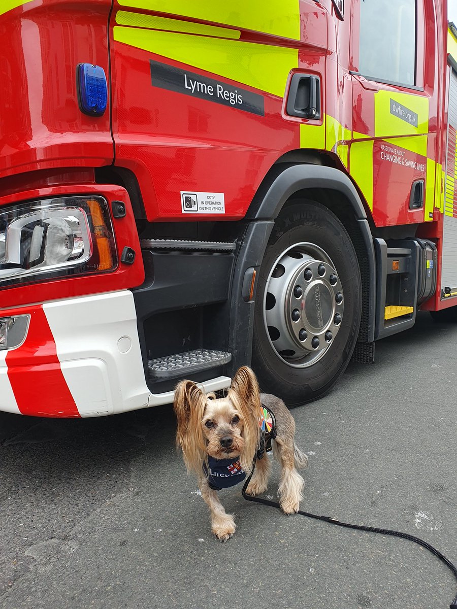 Mr_Pelucchi's tweet photo. Todays I did go to Lyme Regis to sees @LymeRegisRNLI Boat Parade &amp; I did gets to sees Lyme Regis Firefighters.
It did bes a good day but now it do be rainings
@RNLI  #Bewateraware #RespectTheWater #dorset #MrP #BarkshireFirefighter #Coastguard #Countrylife #999family #floattolive https://t.co/xYwrHZltI5