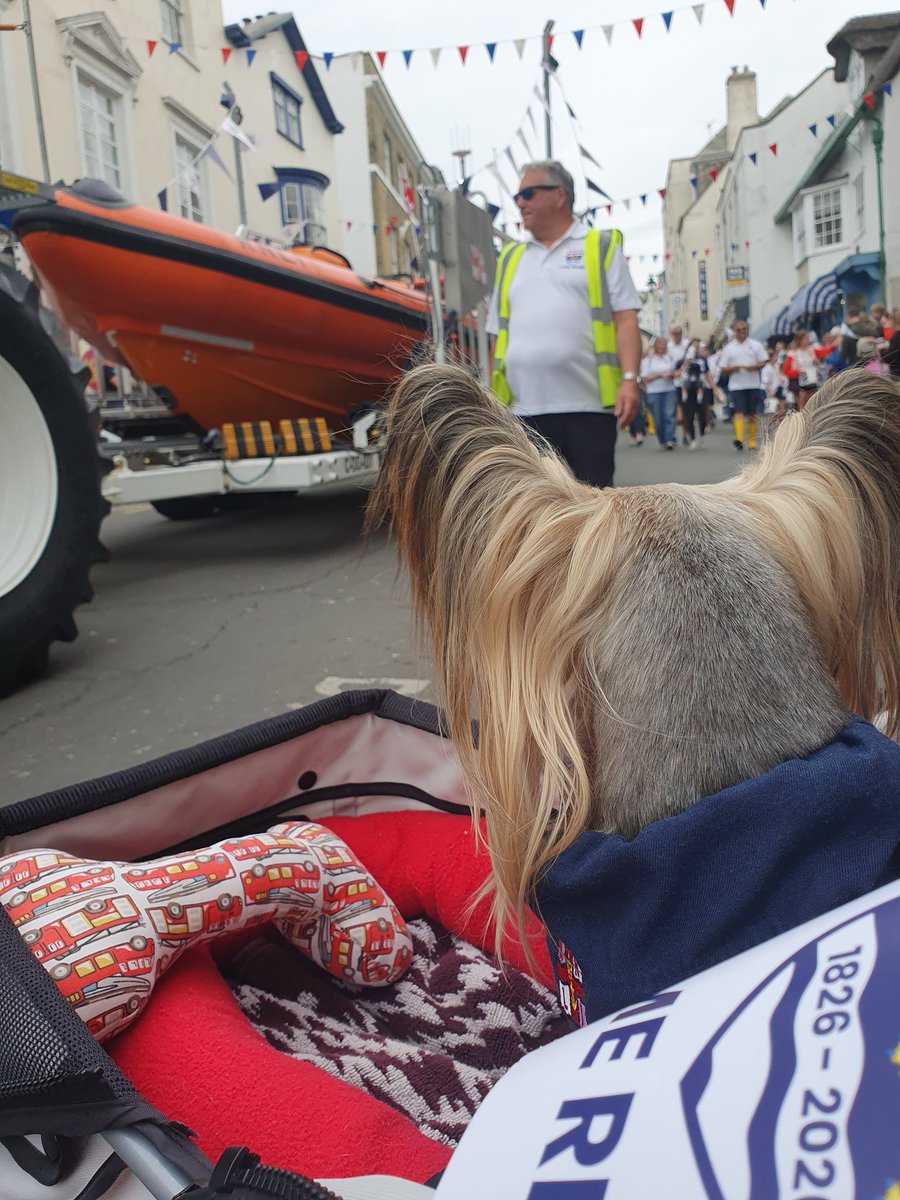 Mr_Pelucchi's tweet photo. Todays I did go to Lyme Regis to sees @LymeRegisRNLI Boat Parade &amp; I did gets to sees Lyme Regis Firefighters.
It did bes a good day but now it do be rainings
@RNLI  #Bewateraware #RespectTheWater #dorset #MrP #BarkshireFirefighter #Coastguard #Countrylife #999family #floattolive https://t.co/xYwrHZltI5