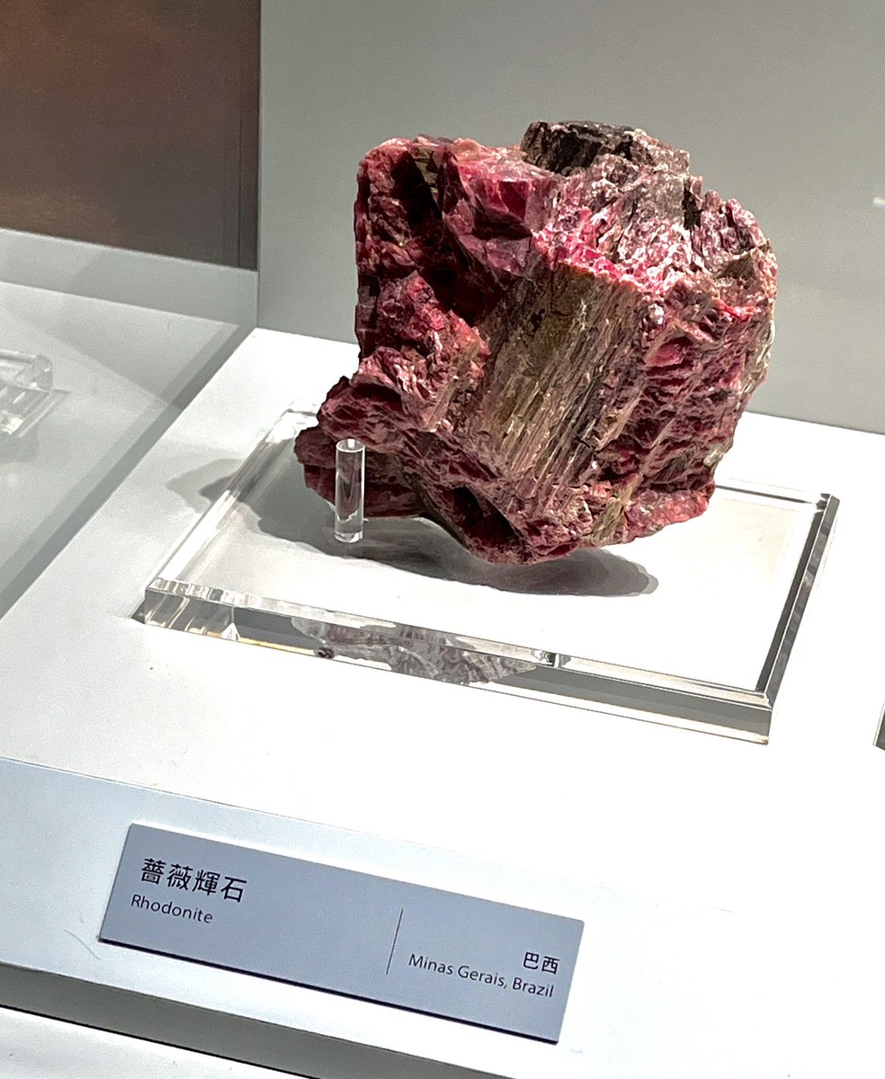 這次有去科博館看大地瑰寶礦石展
有看到炸雞排+生洋蔥
加辣粉的雞肉飯
冷凍牛肉