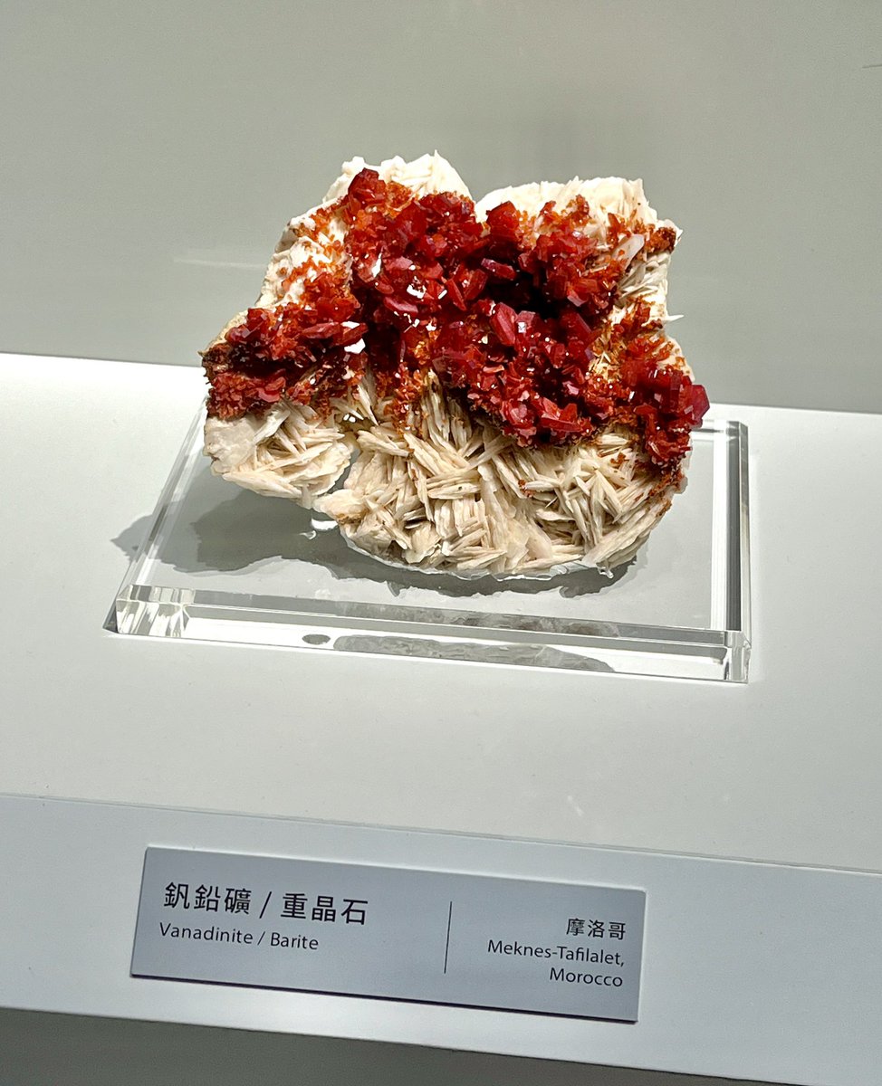 果凍717(Jelly) tweet media