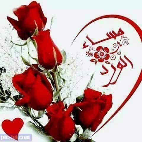 Mhmd fargaly25K👌 tweet media
