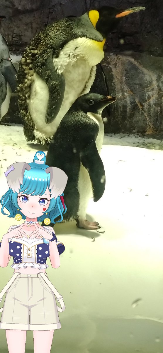 ハレ🍮🦕🐧 tweet media