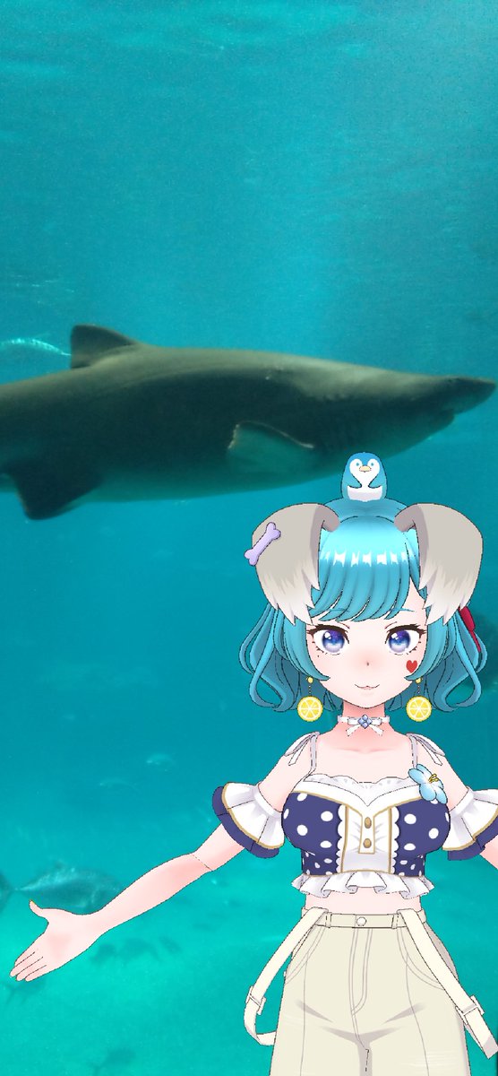 ハレ🍮🦕🐧 tweet media