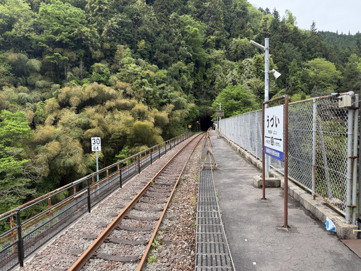 OJI山 tweet media