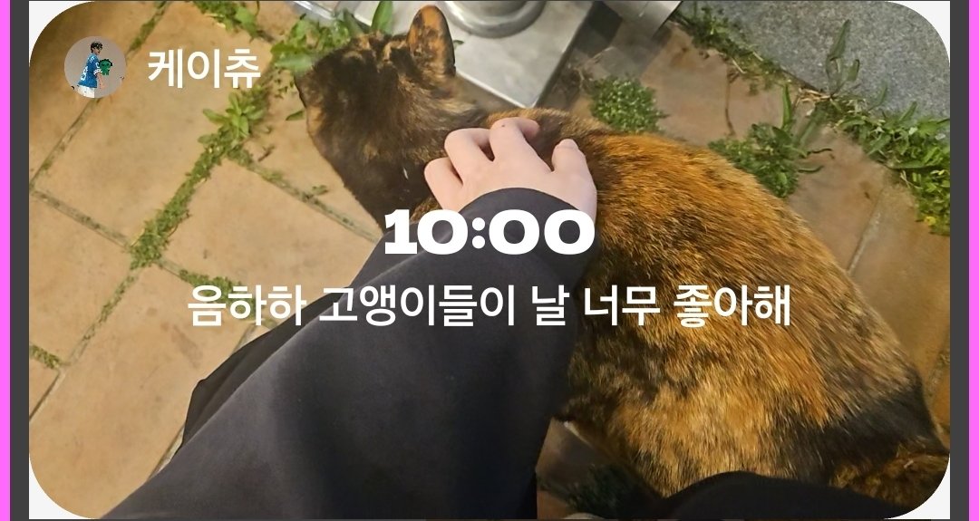 누누 tweet media