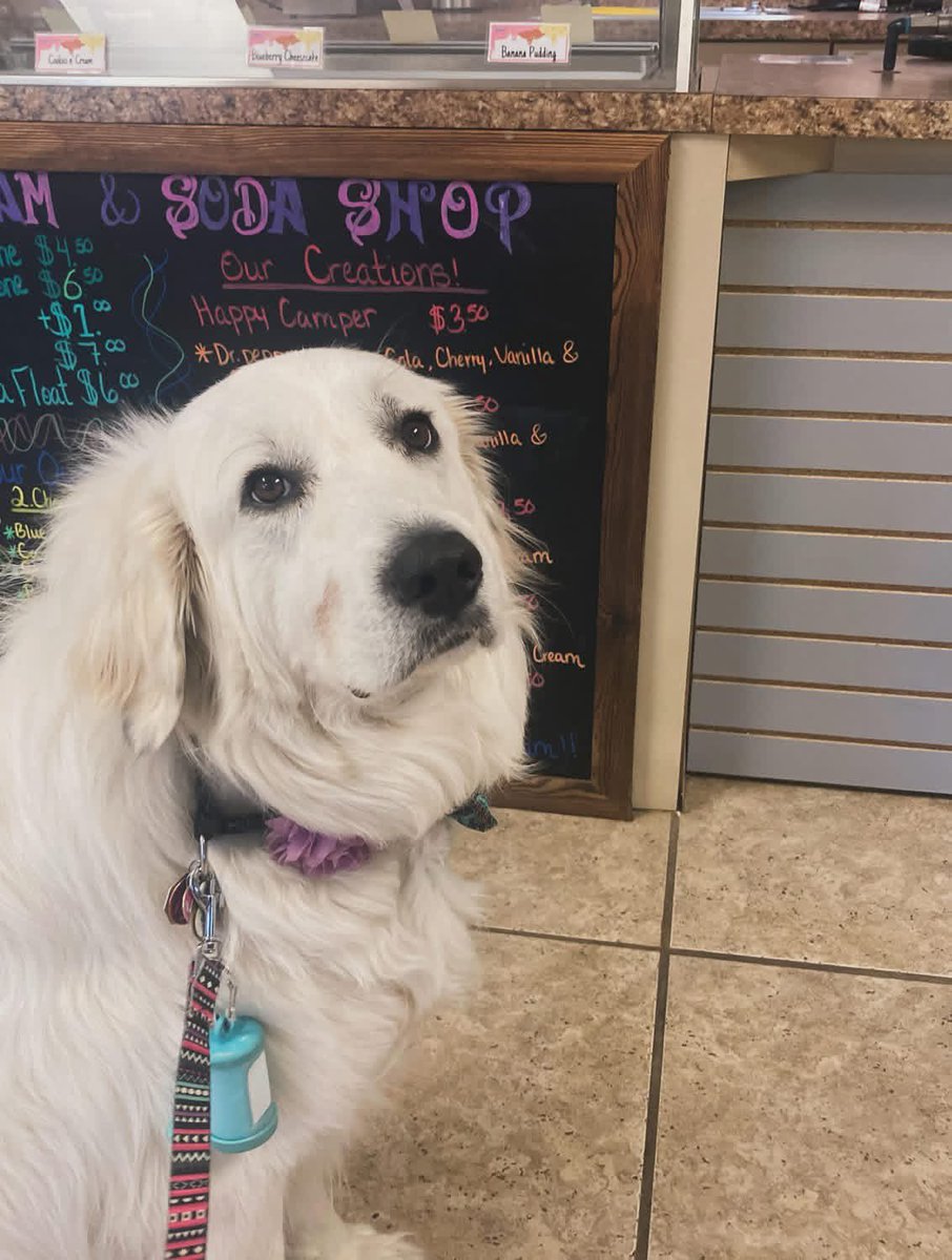 Anna The Pyrenees tweet media