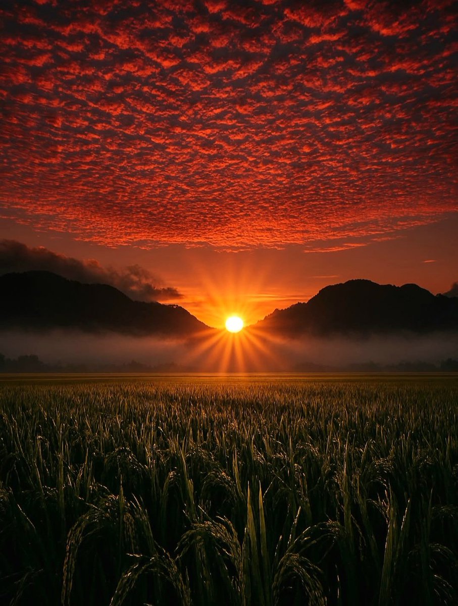 sam_autmn's tweet image. #Amazing #beautiful