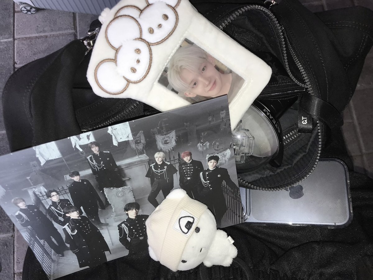 미르 tweet media
