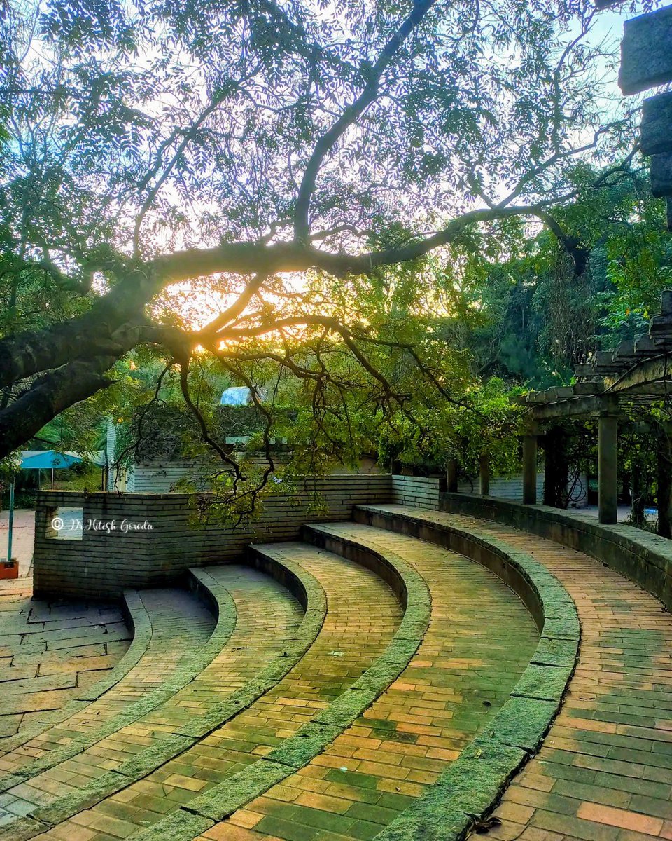 hitesh_gowdru's tweet image. Magnificent green 💚 campus 
#Saturday #weekendvibes #ಐಐಎಸ್ಸಿ