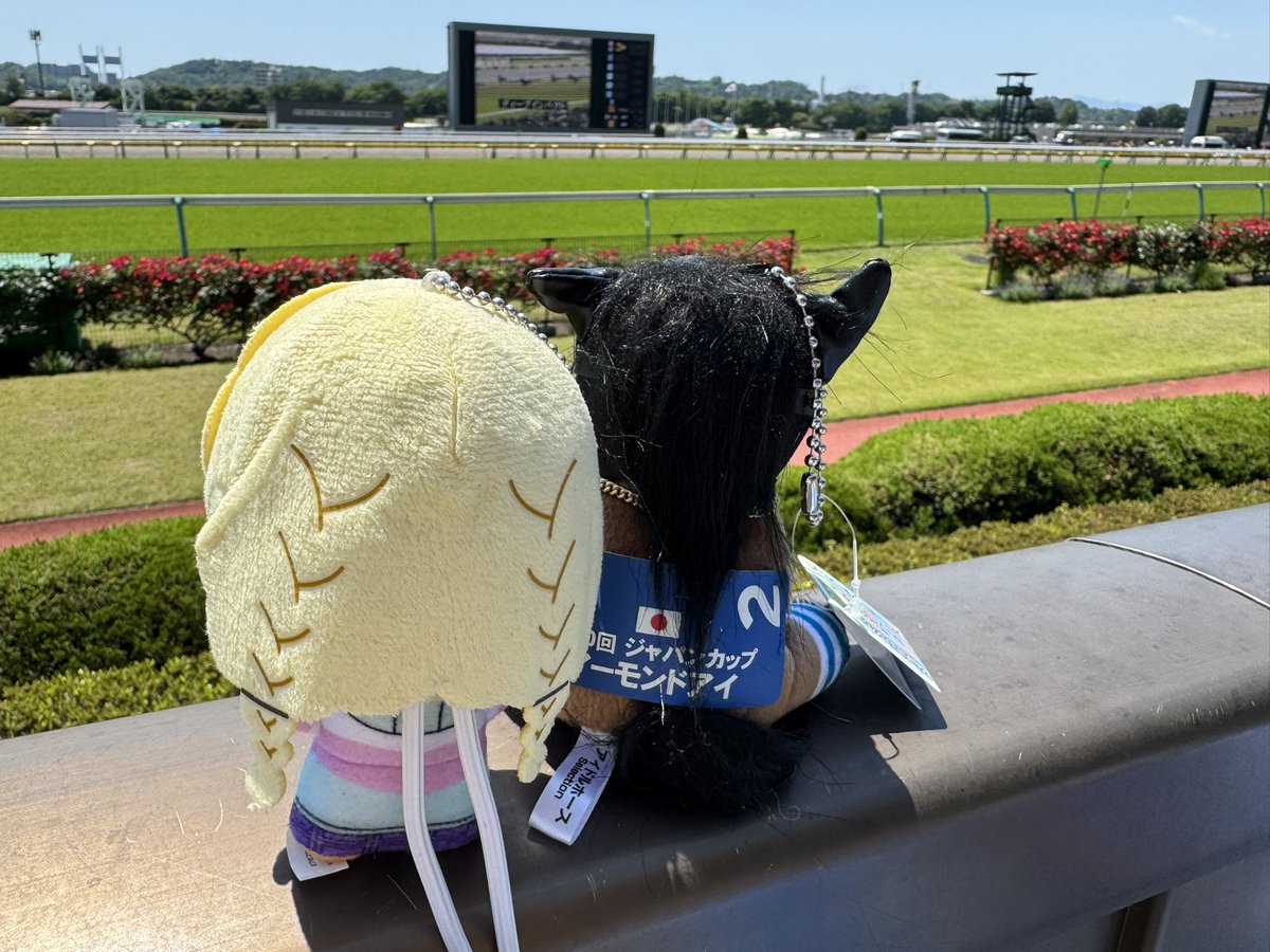 とーち tweet media