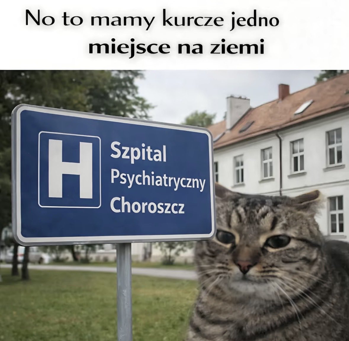 nika tweet media