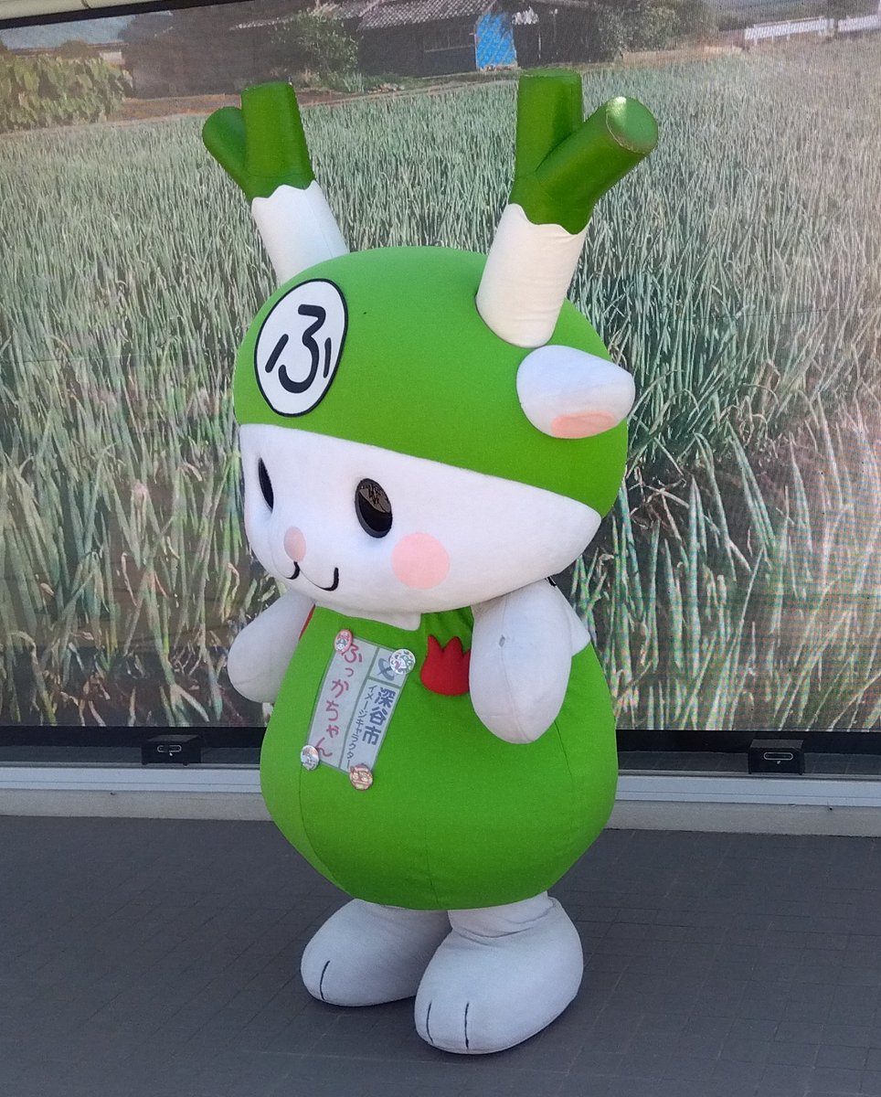 F☆NGO@ふっかやC tweet media