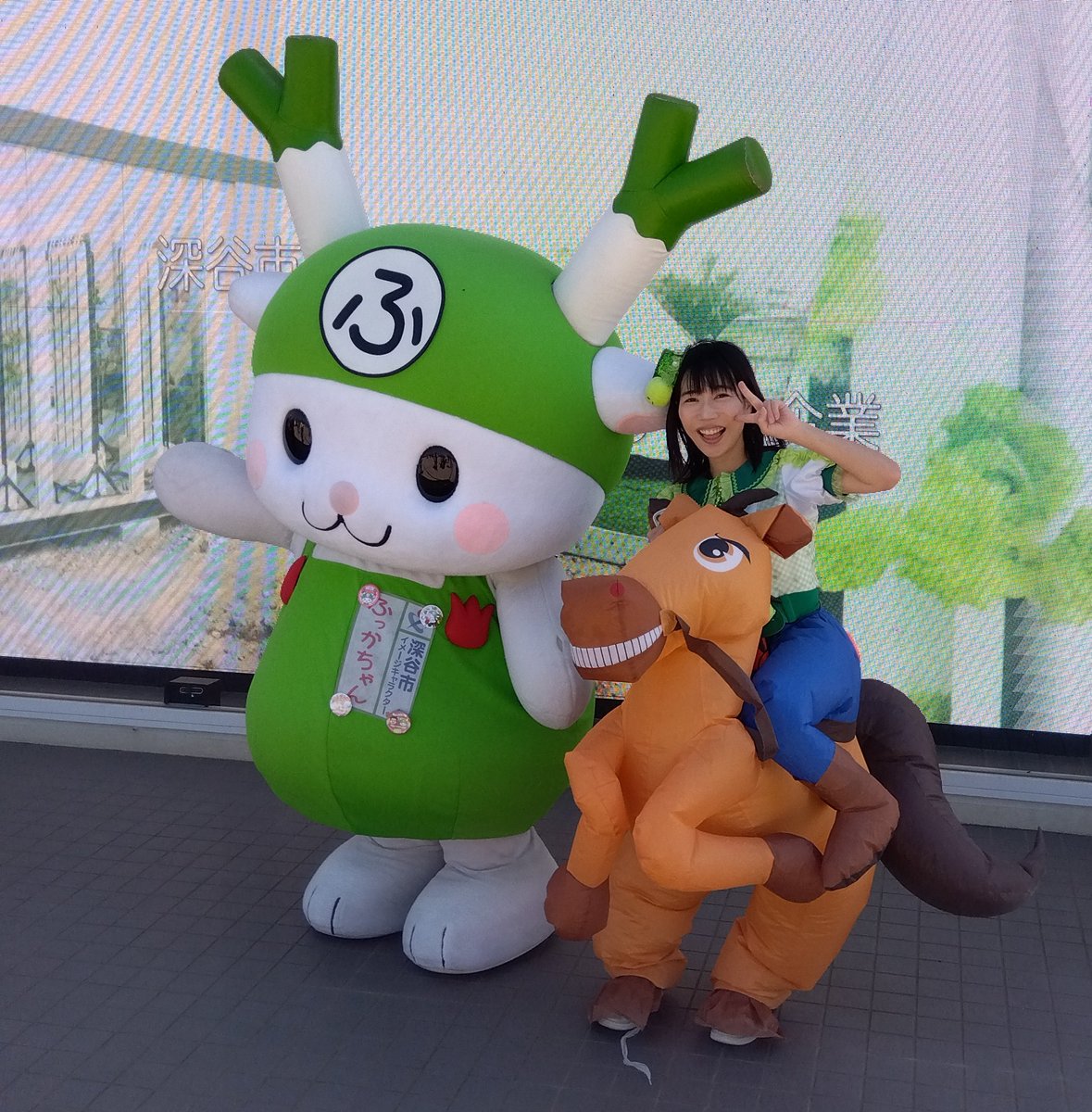 F☆NGO@ふっかやC tweet media