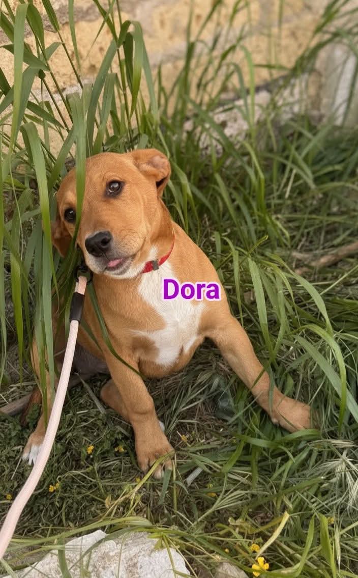 Greta Fanti tweet media