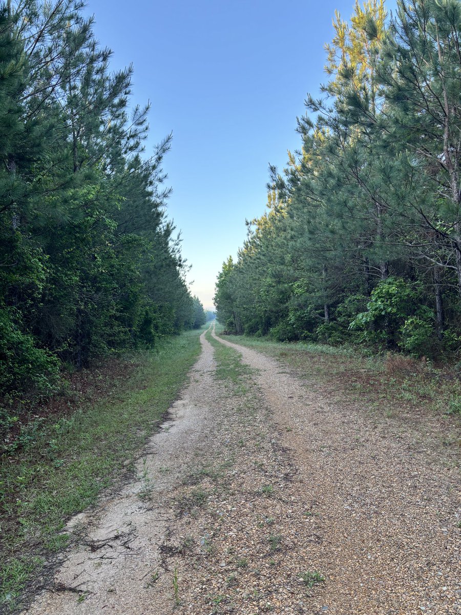 fropappy's tweet photo. Walking around this morning on the roads where I grew up. https://t.co/bTsZdWleqi