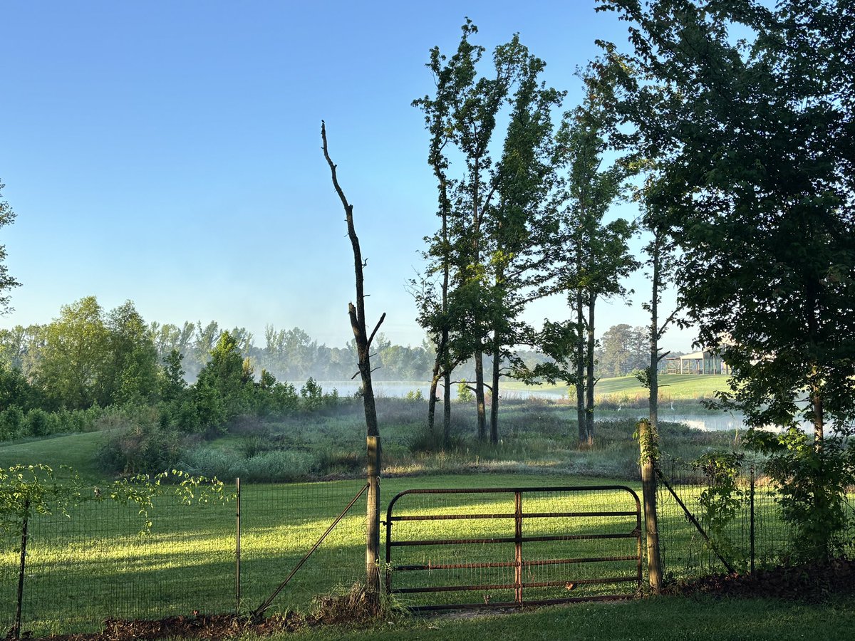 fropappy's tweet photo. Walking around this morning on the roads where I grew up. https://t.co/bTsZdWleqi