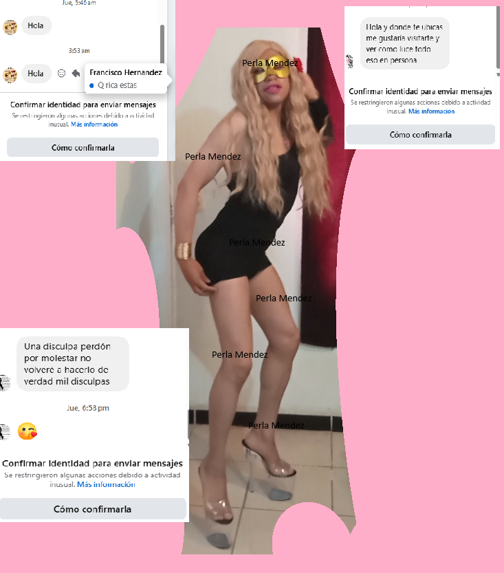 Perla Mendez Travesti tweet media