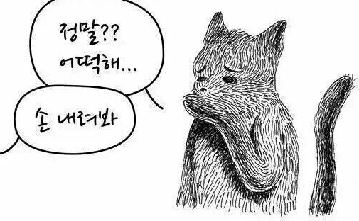 light_gr's tweet photo. @icebear_not https://t.co/O6uIPM8PRR