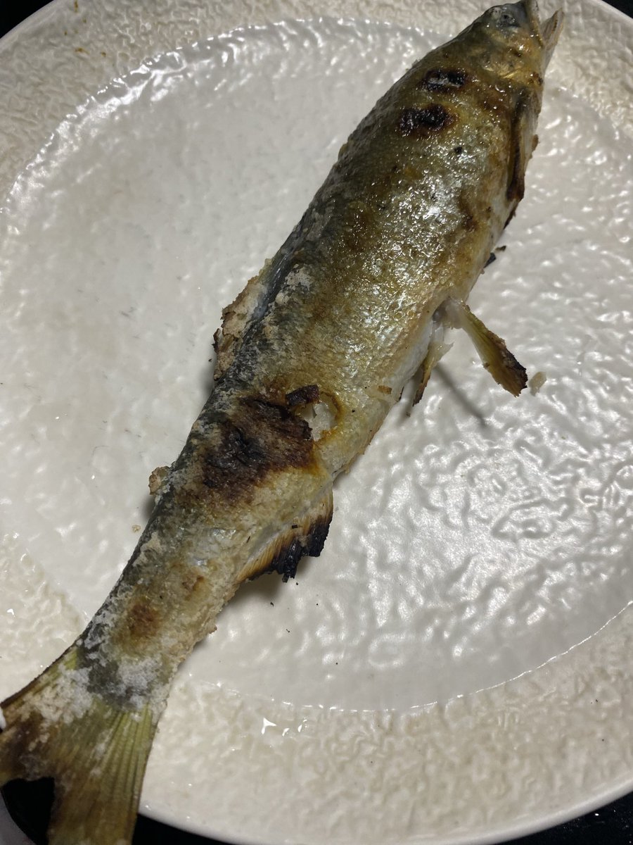 焼いちゃ魚 川魚焼いたやつが焼き魚界で1番うまい