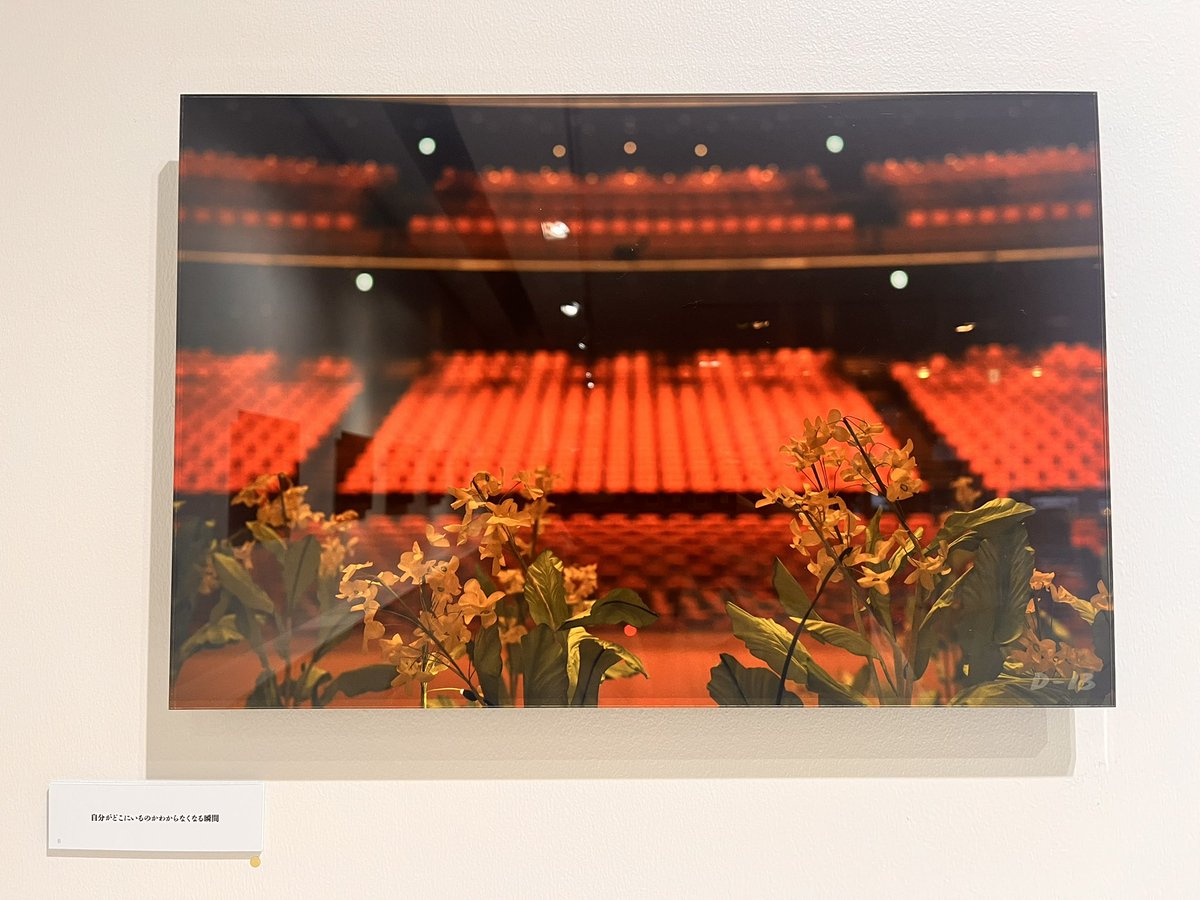 團十郎さんの個展のお写真の中で、私が1番心揺さぶられたお写真🖼️  

#團十郎 さん
#個展
#團十郎さんから見える世界