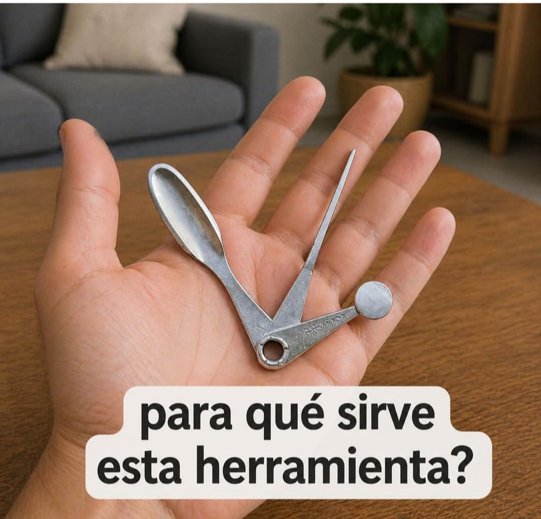 SandraQuiñones tweet media