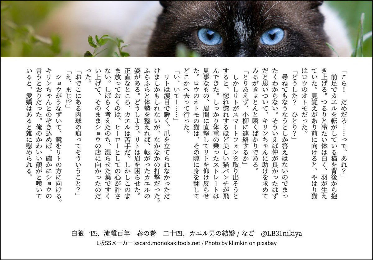 なご tweet media